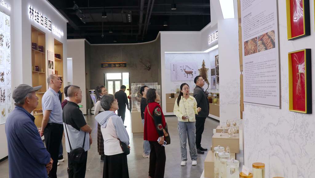 台盟吉林省委会基层支部和专委会开展调研学习活动